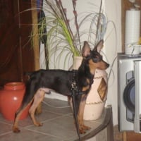 Photo #96745 de Sookie