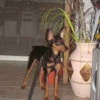 Photo #96751 de Sookie
