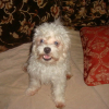 mickey0010