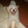 mickey0023