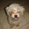 mickey0017