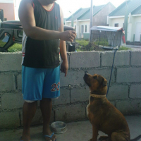 Photo #97195 de Boo