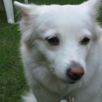 Photo #97453 de Cloe