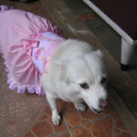 Photo #97459 de Cloe