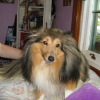 Photo #97489 de Kasper