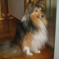 Photo #97495 de Kasper