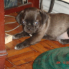 reg-ogie_everafter_003
