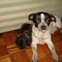 Photo #97879 de Lucky