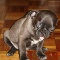Photo #97885 de Lucky
