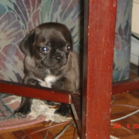Photo #97891 de Lucky
