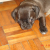 reg-ogie_everafter_006