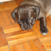 Photo #97897 de Lucky