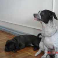 Photo #97903 de Lucky