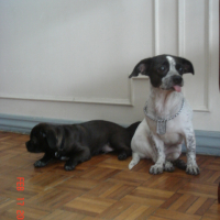 Photo #97915 de Lucky