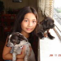 Photo #97921 de Lucky