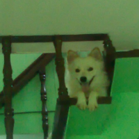 Photo #98125 de Happy