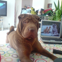 Photo #98575 de Crunch