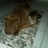 Photo0246