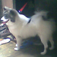 Photo #99937 de Sparta