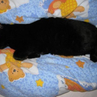 Photo #100201 de Titou