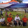 sea_dogs