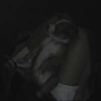 Photo #101095 de Choco