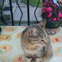 Photo #102277 de Fanny