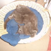 Photo #102313 de Minette
