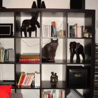 Photo #102397 de Minette