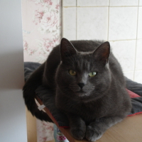 Photo #102409 de Minette