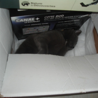 Photo #102421 de Minette