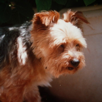 Photo #103321 de Murphy