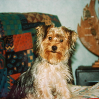 Photo #103327 de Murphy