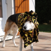 Malko_camouflage__2_
