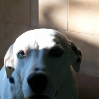 Photo #104605 de Théo