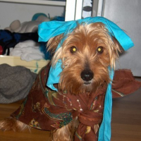 Photo #104977 de Boonty