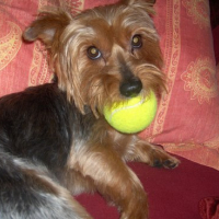 Photo #104989 de Boonty