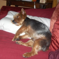 Photo #105001 de Boonty