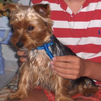 Photo #105007 de Boonty