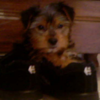 Photo #105013 de Boonty