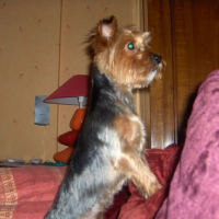 Photo #105019 de Boonty