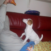 Photo #105241 de Exora