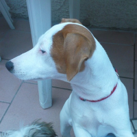 Photo #105253 de Exora