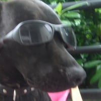 Photo #105769 de Aiko