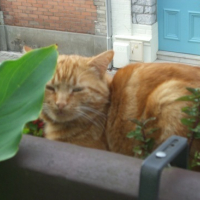 Photo #105817 de Mp