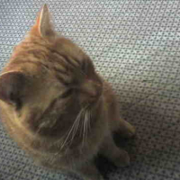 Photo #105823 de Mp
