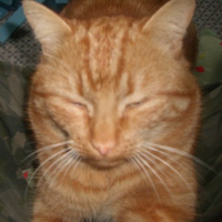 Photo #105829 de Mp