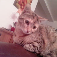 Photo #106771 de Channel