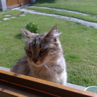 Photo #106939 de Caramel