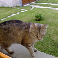 Photo #106945 de Caramel